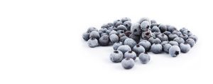 A bunch of frozen blueberries.
