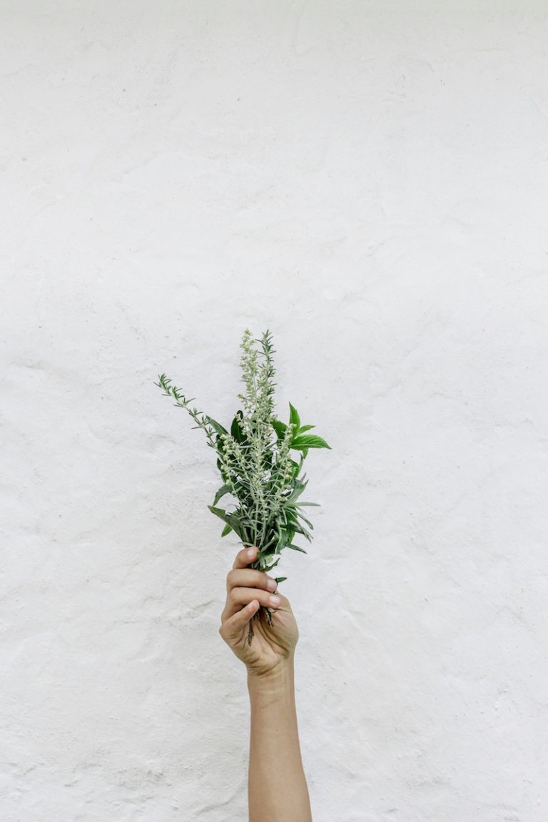 blog nordwood themes FnOoRU PYio unsplash 1 compressed