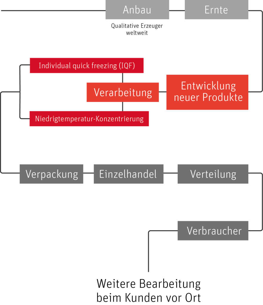 Paradise Fruits paradise fruits wertschoepfungskette production chain produktionskette DE 1