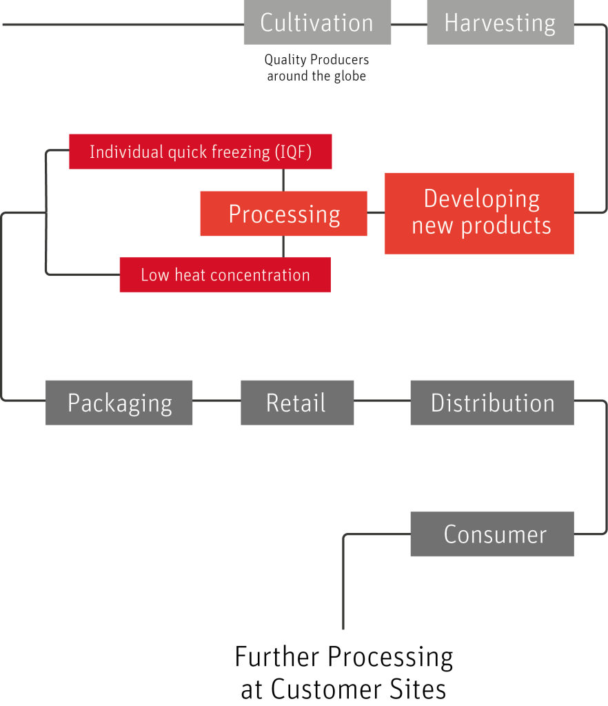 Product Development paradise fruits wertschoepfungskette production chain produktionskette EN 1
