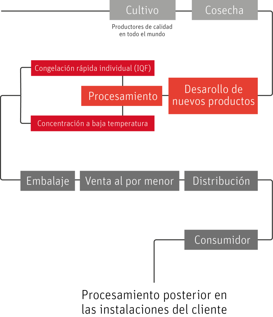 Paradise Fruits paradise fruits wertschoepfungskette production chain produktionskette ES 1