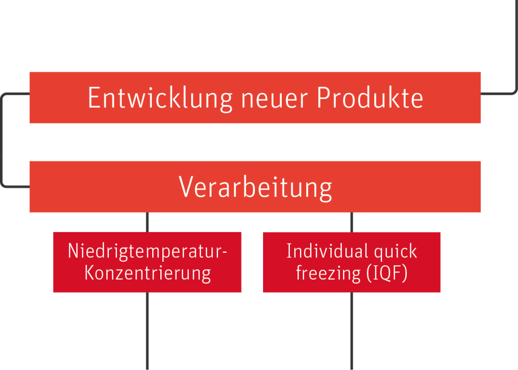 Paradise Fruits paradise fruits wertschoepfungskette production chain produktionskette mobile part 02 DE 1