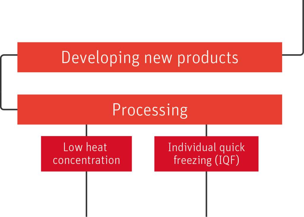 Product Development paradise fruits wertschoepfungskette production chain produktionskette mobile part 02 EN 1